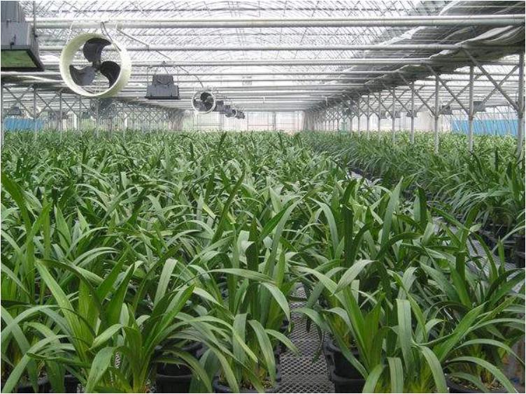 恒溫溫室大(dà)棚